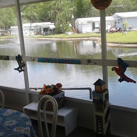 Oak Springs Rv Resort Port Richey Exterior foto